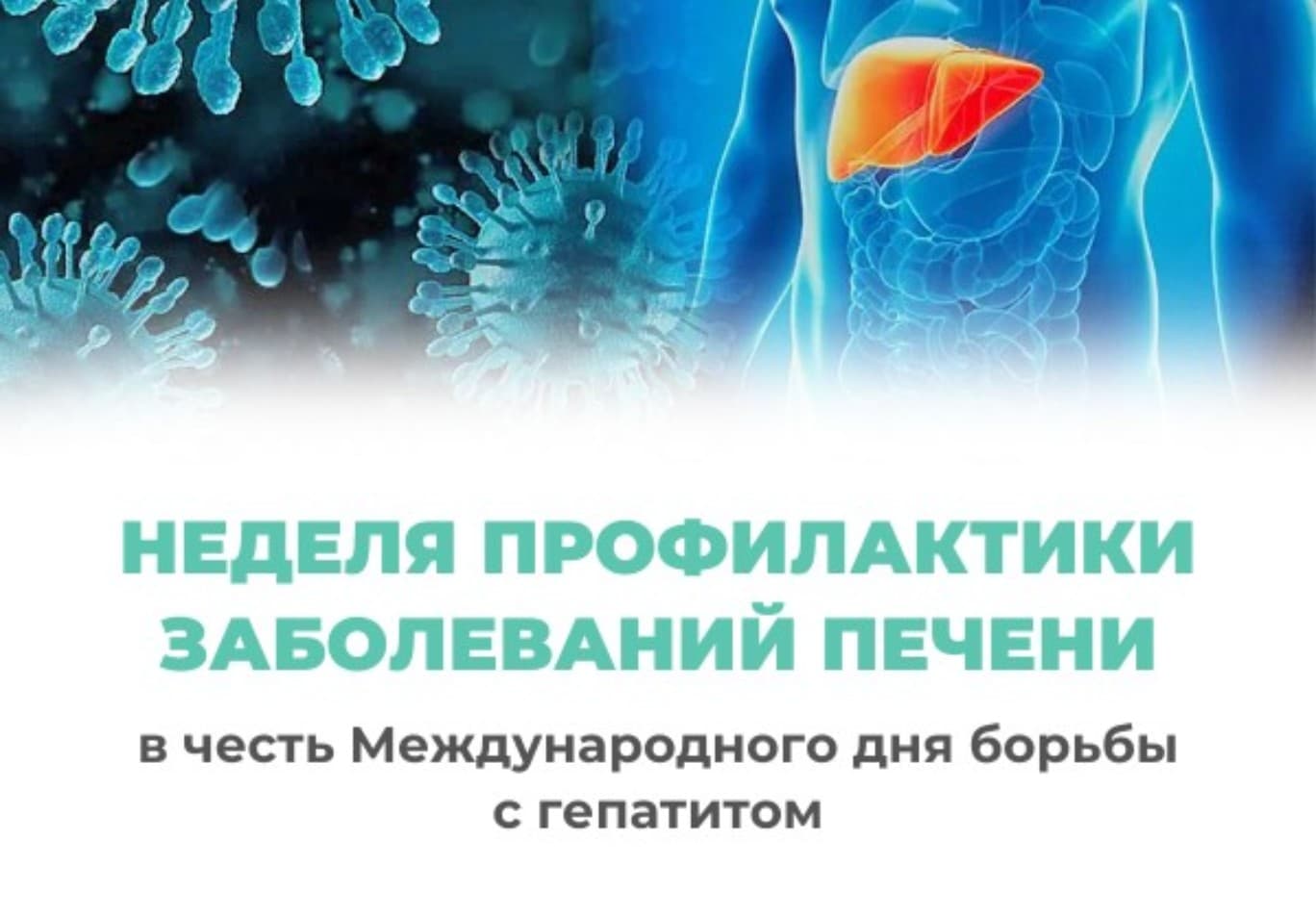Фактор онкологического риска: врач Всеволожской больницы рассказала о вирусных гепатитах