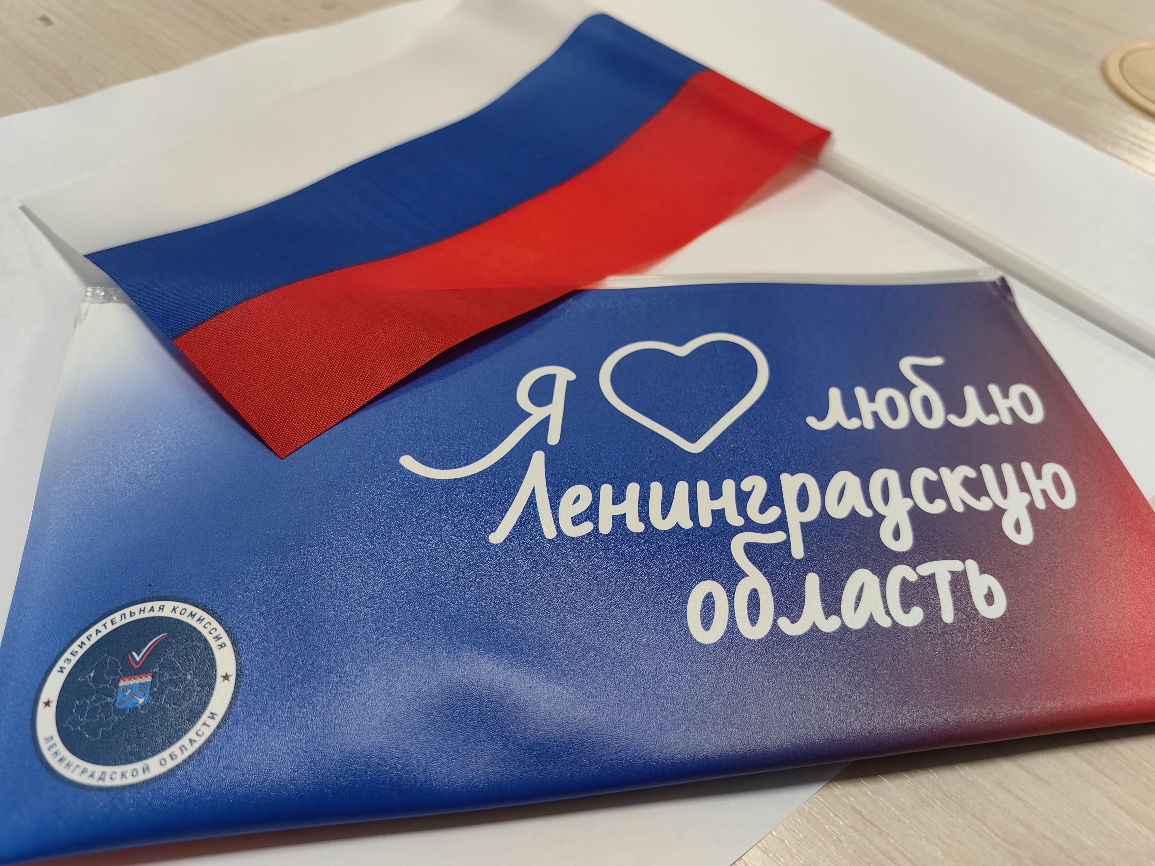 Присоединяйтесь к акции «Всей семьей на выборы»!